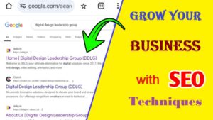 Grow Your Business with SEO Techniques